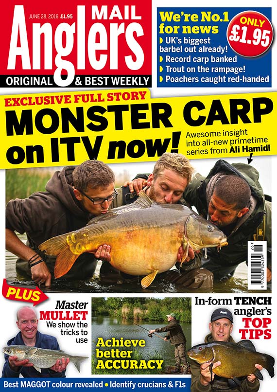 Monster carp.jpg